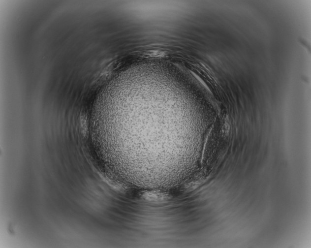 X0000096630568200802191159