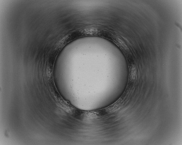 X0000096630569200802191159