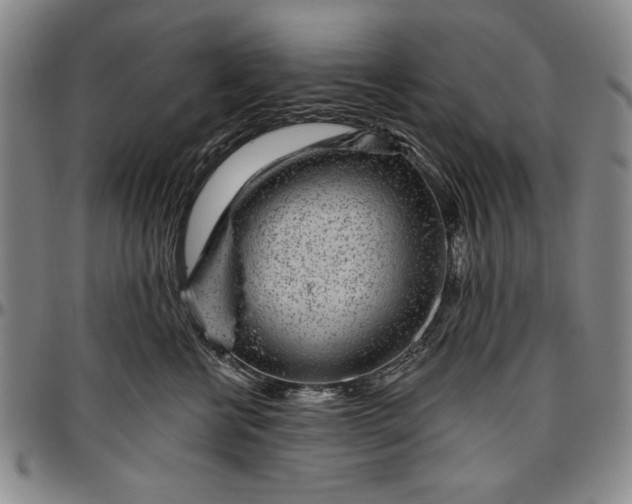 X0000096630570200802191159