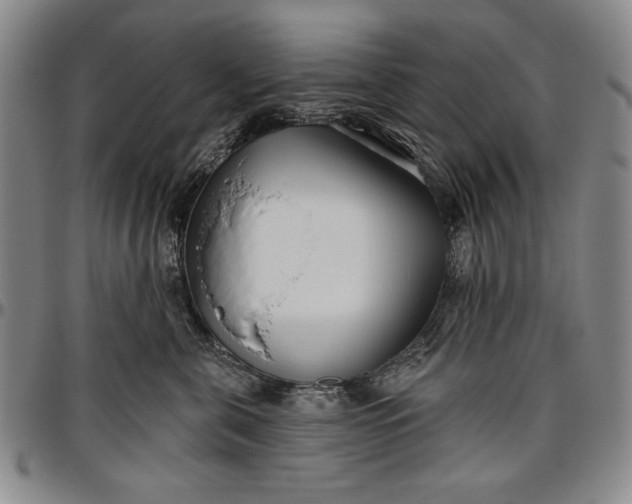 X0000096630571200802191159