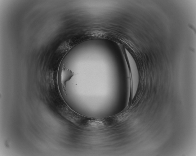 X0000096630572200802191159