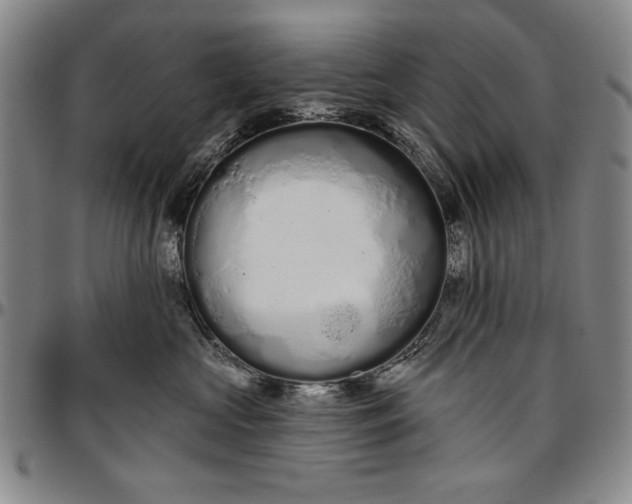 X0000096630573200802191159