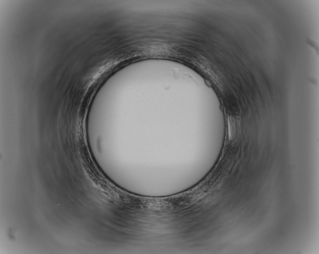 X0000096630579200802191158