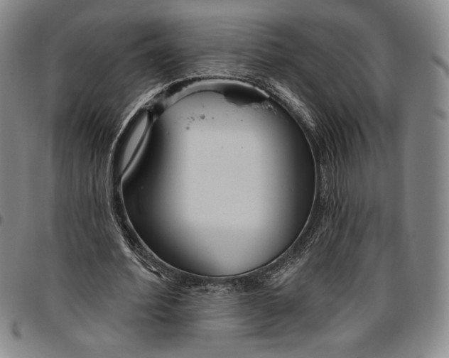 X0000096630580200802191158