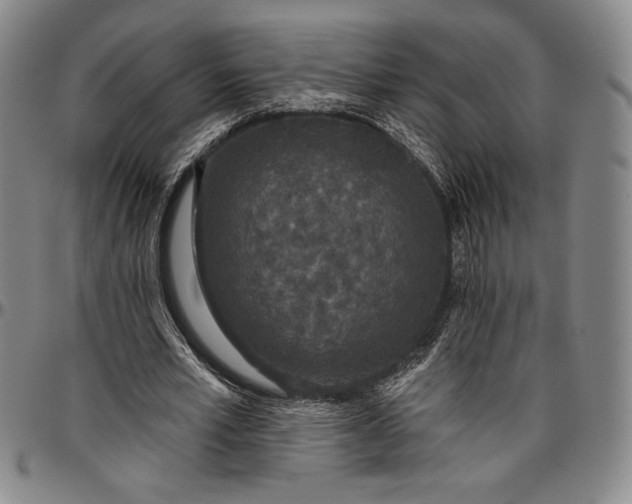X0000096630581200802191158