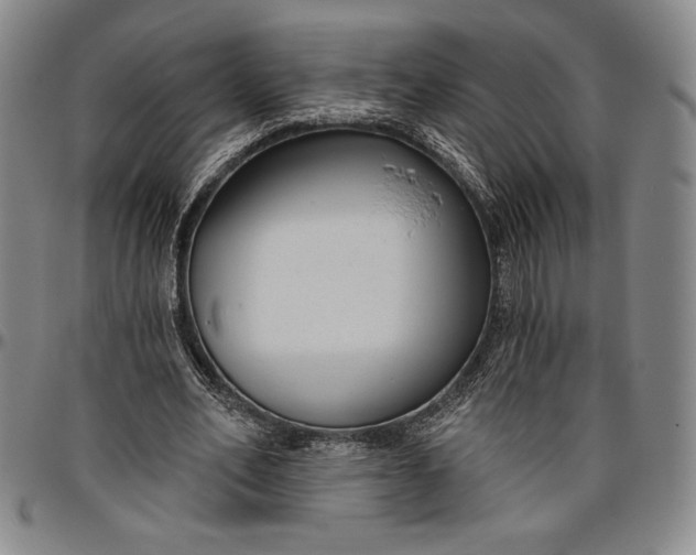 X0000096630582200802191158
