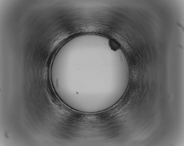 X0000096630583200802191158