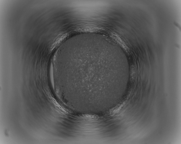 X0000096630585200802191158