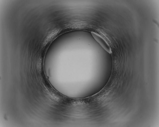 X0000096630586200802191158