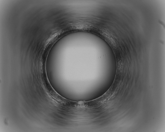 X0000096630587200802191158