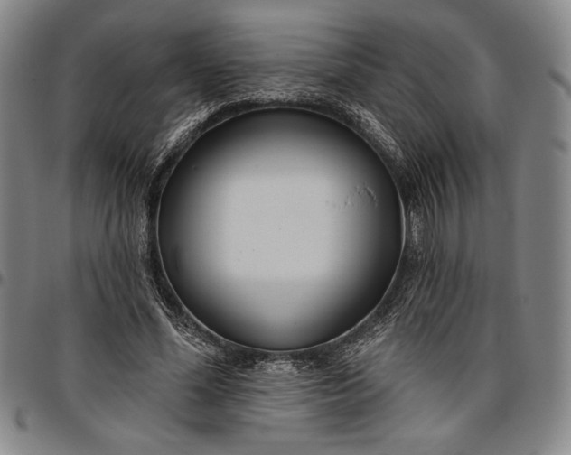 X0000096630588200802191158