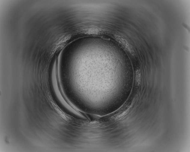 X0000096630589200802191158