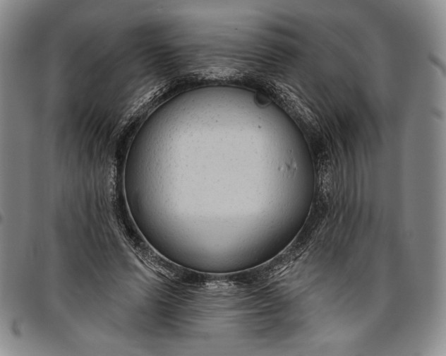 X0000096630591200802191158