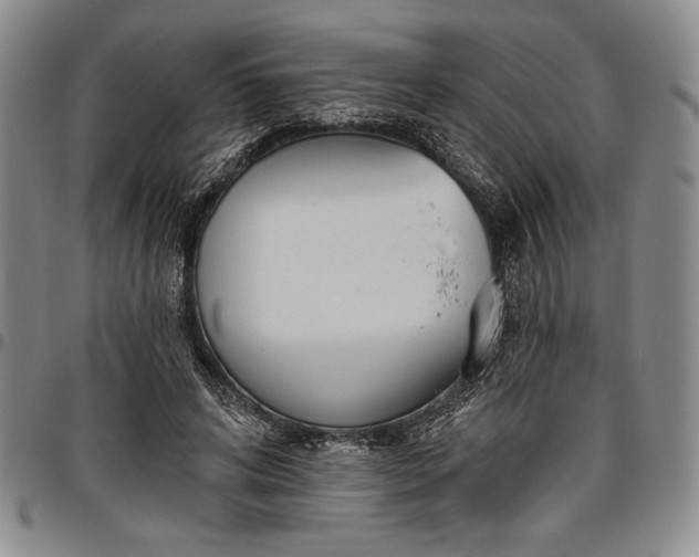 X0000096630592200802191158