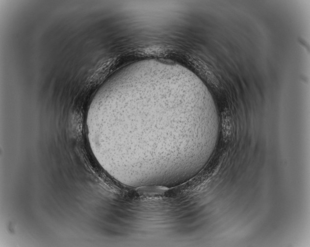 X0000096630593200802191158