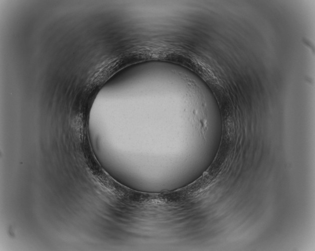 X0000096630594200802191158