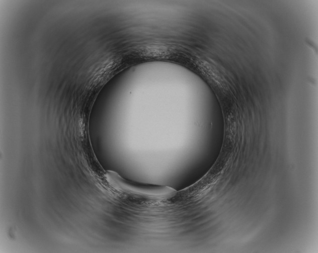 X0000096630597200802191158