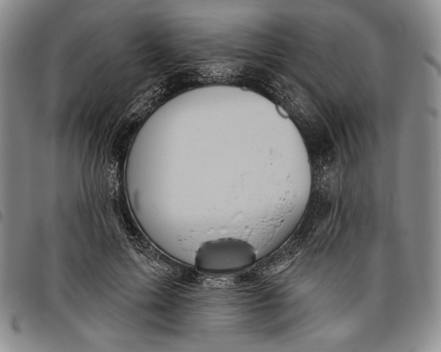 X0000096630599200802191158