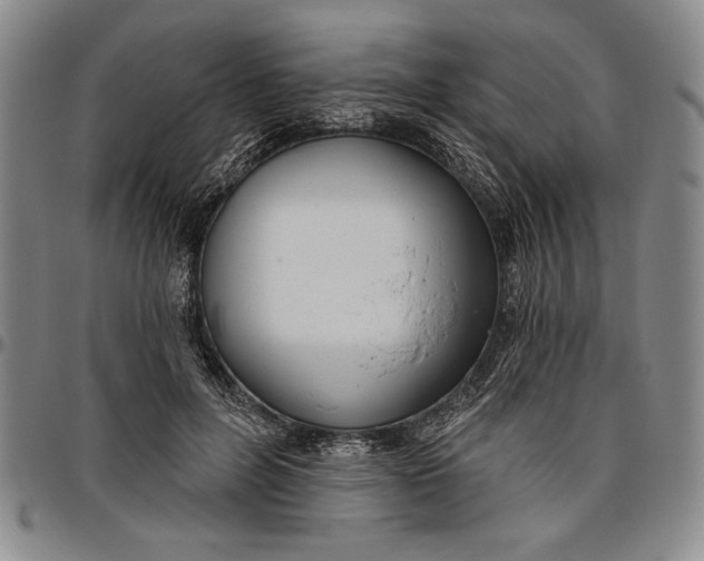 X0000096630600200802191158