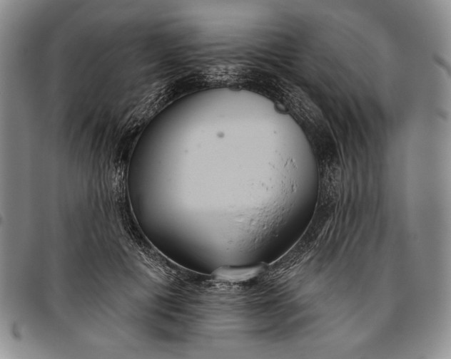 X0000096630601200802191158