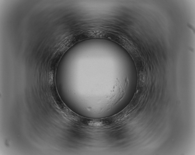 X0000096630602200802191158