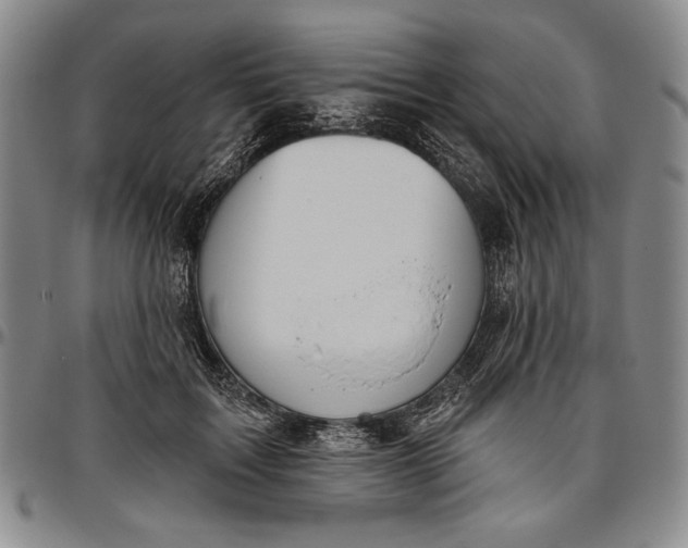 X0000096630603200802191158
