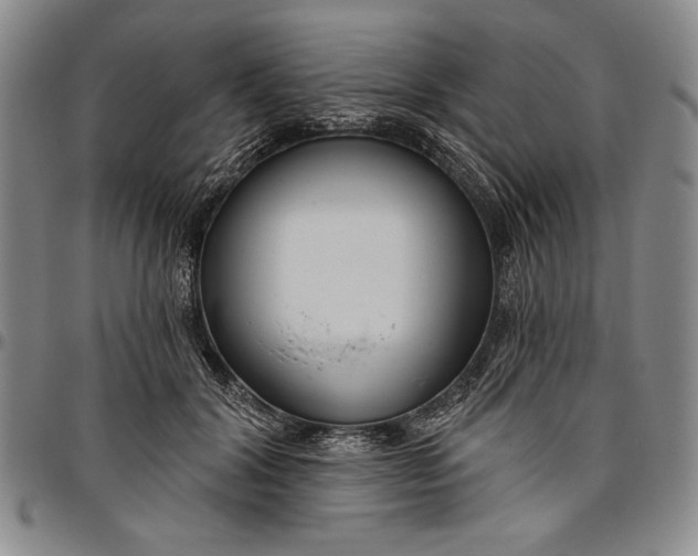 X0000096630604200802191158