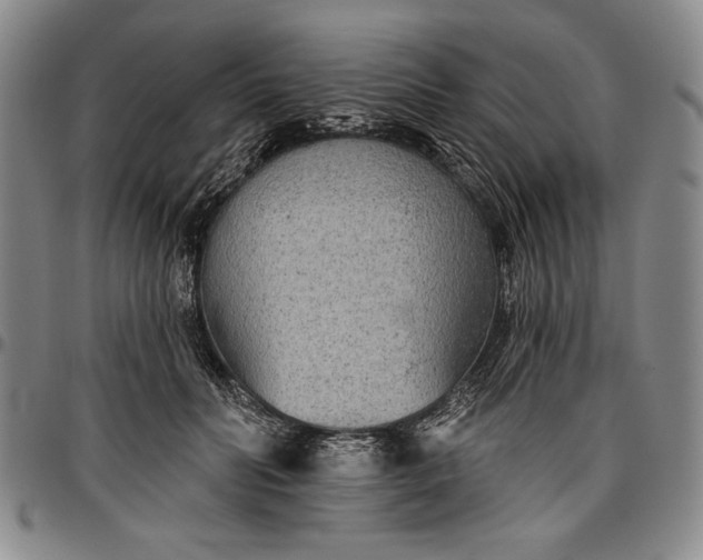 X0000096630606200802191158