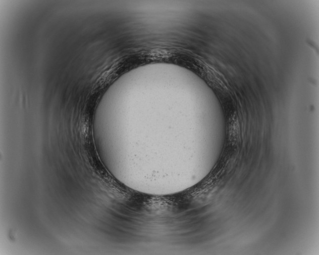 X0000096630608200802191158