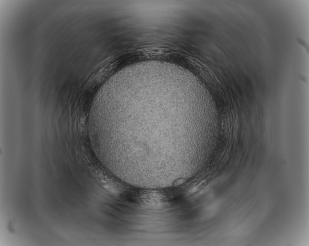 X0000096630610200802191158