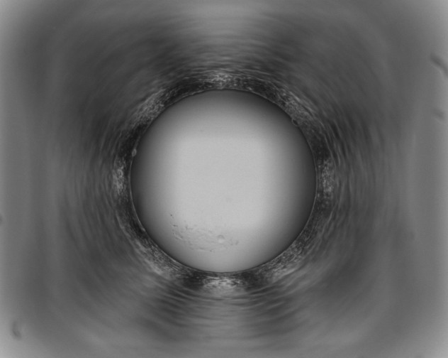 X0000096630611200802191158