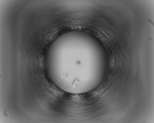 X0000096630616200802191158