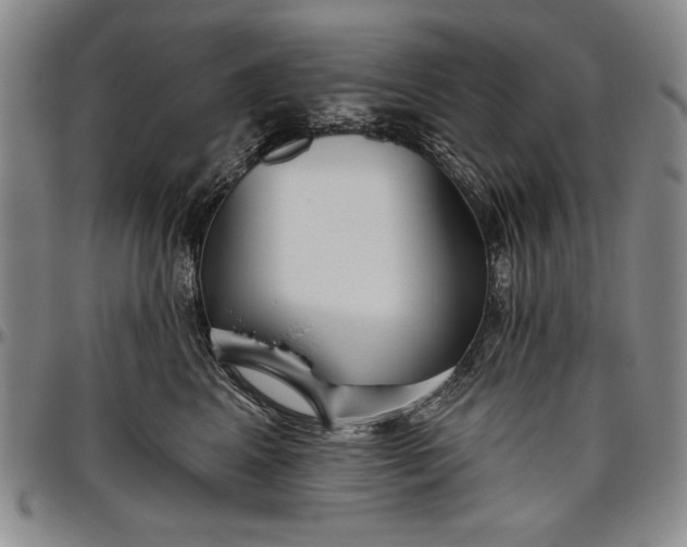 X0000096630617200802191158