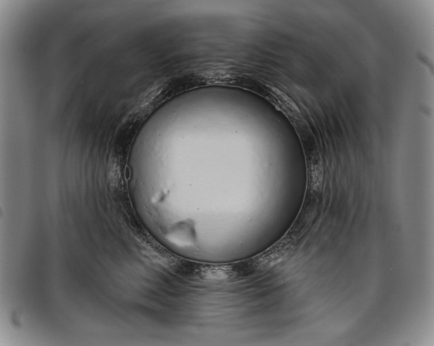 X0000096630618200802191158