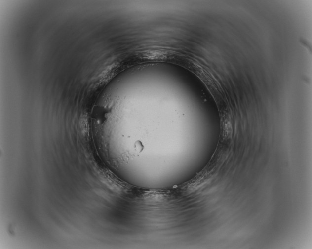 X0000096630620200802191158