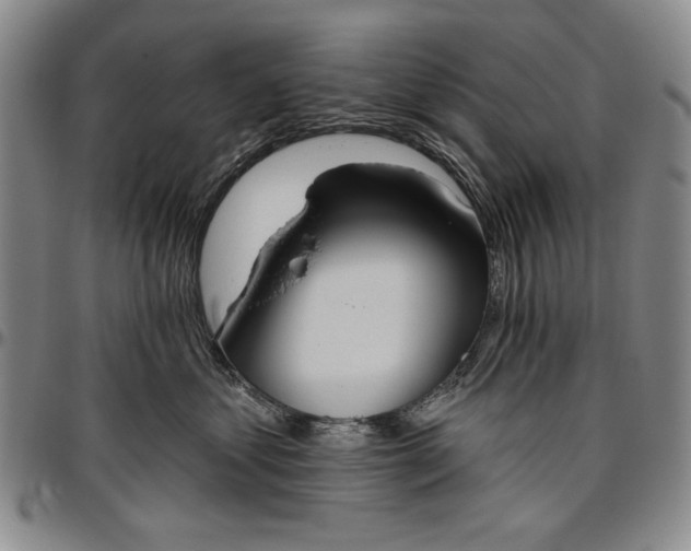 X0000096630621200802191158