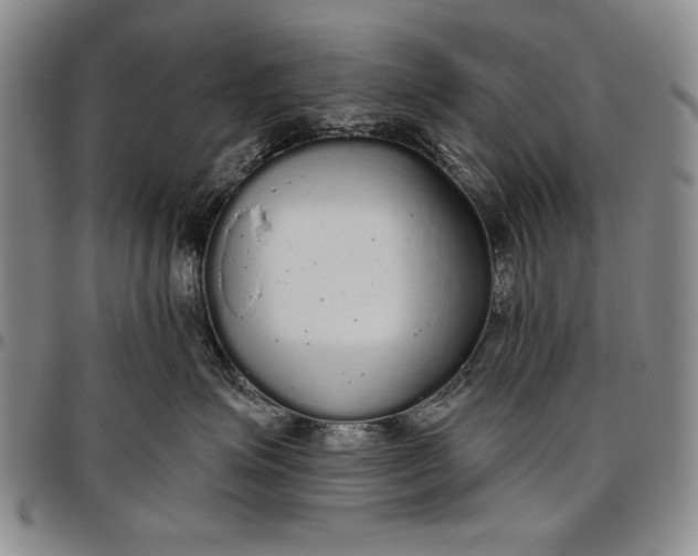X0000096630623200802191158