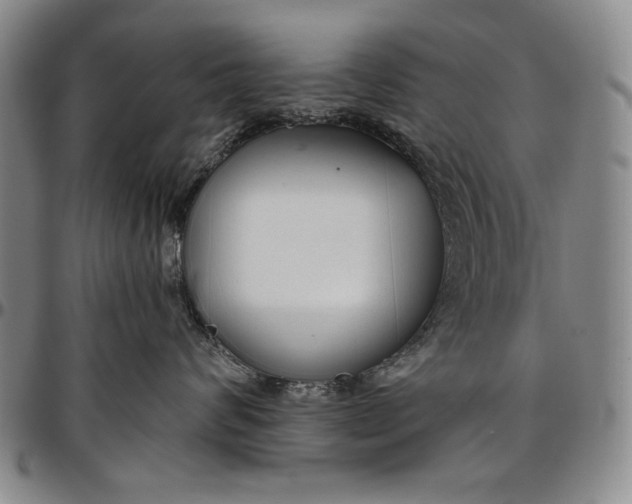X0000096630624200802191158