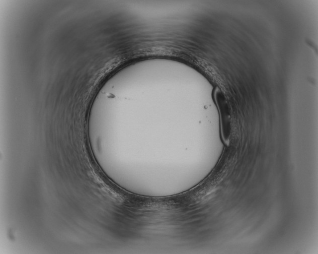 X0000096630625200802191157