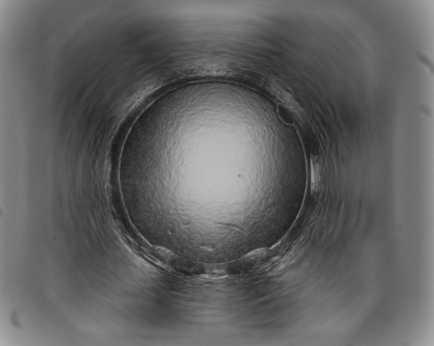 X0000096630627200802191157