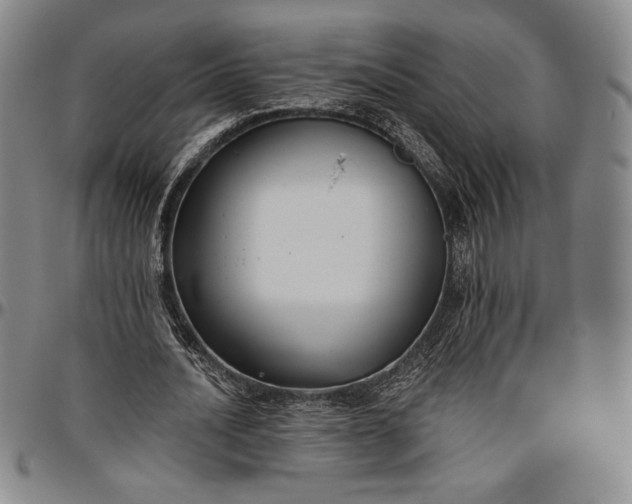 X0000096630628200802191157