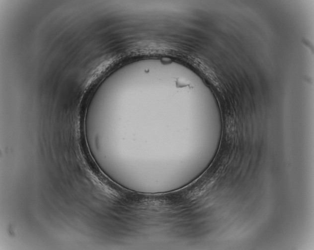 X0000096630629200802191157