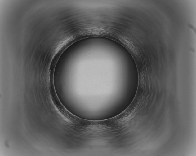 X0000096630630200802191157
