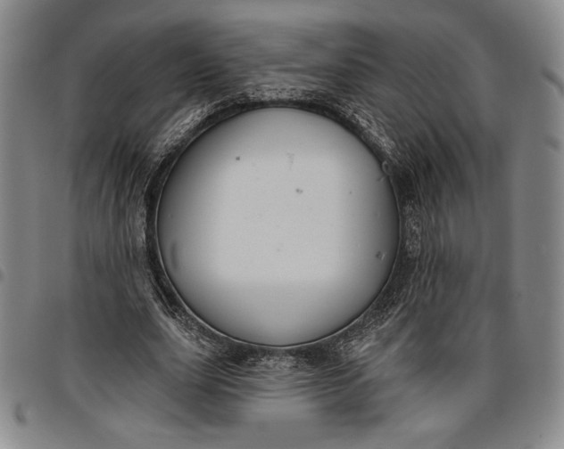 X0000096630631200802191157