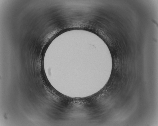 X0000096630632200802191157