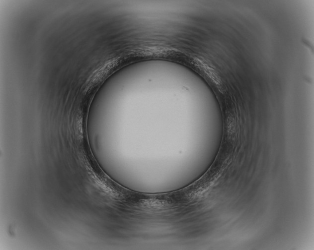 X0000096630633200802191157