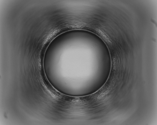 X0000096630634200802191157
