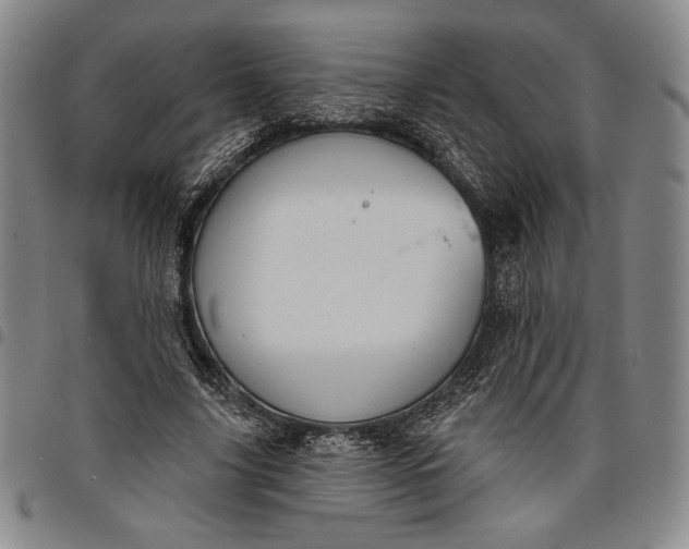 X0000096630635200802191157