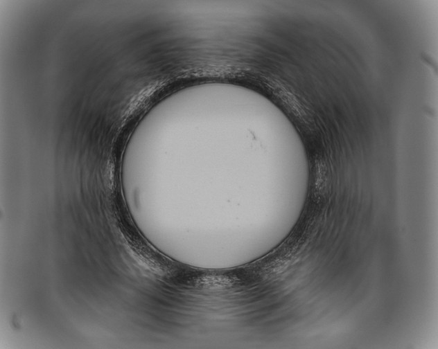 X0000096630636200802191157