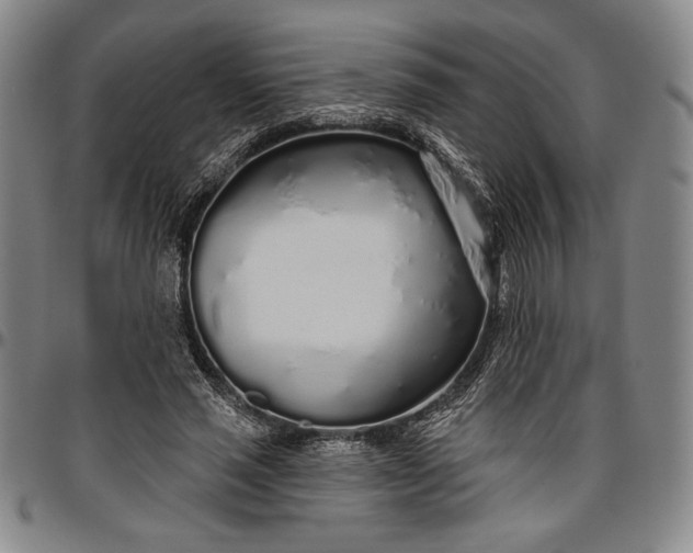 X0000096630637200802191157
